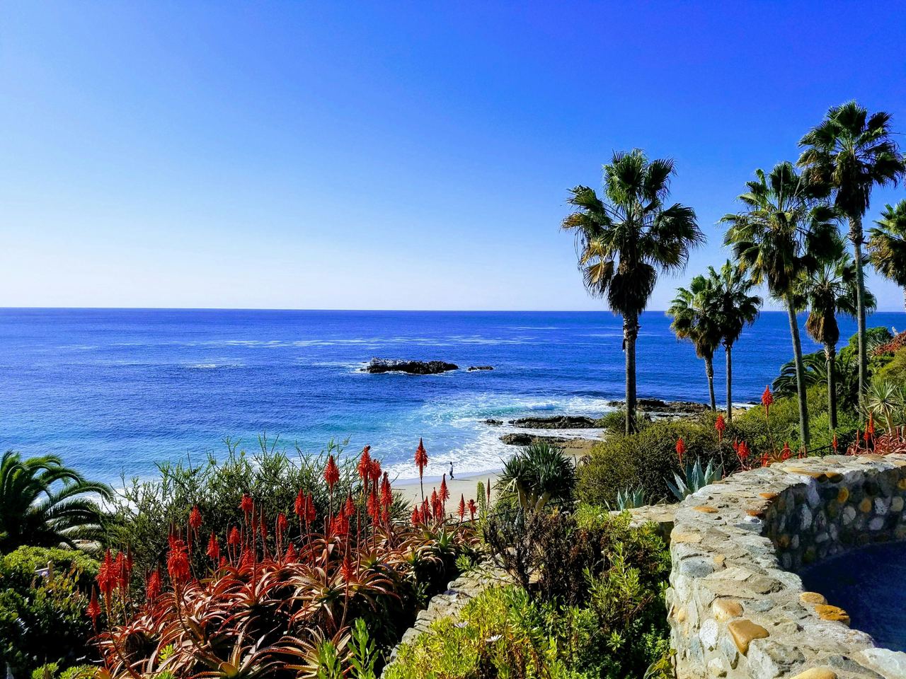 Palmeras y aloes rojos sobre una cala azul en Heisler Park, Laguna Beach