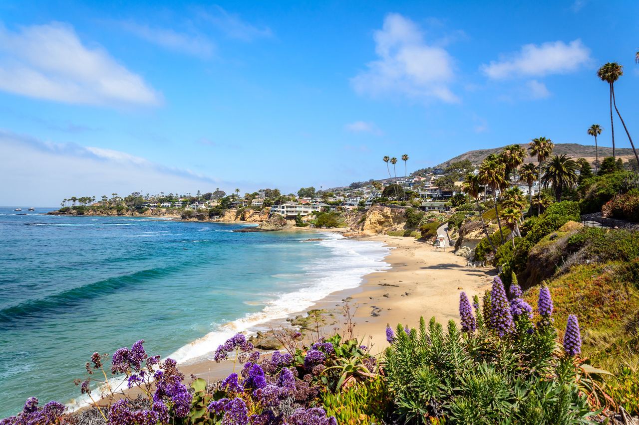Cala turquesa, palmeras y flores moradas en la costa de Laguna Beach