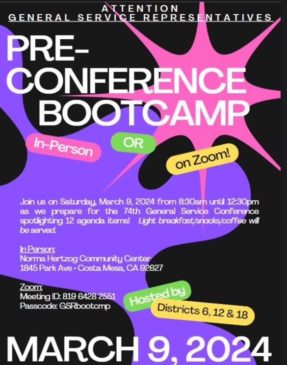 Pre-conference bootcamp flyer