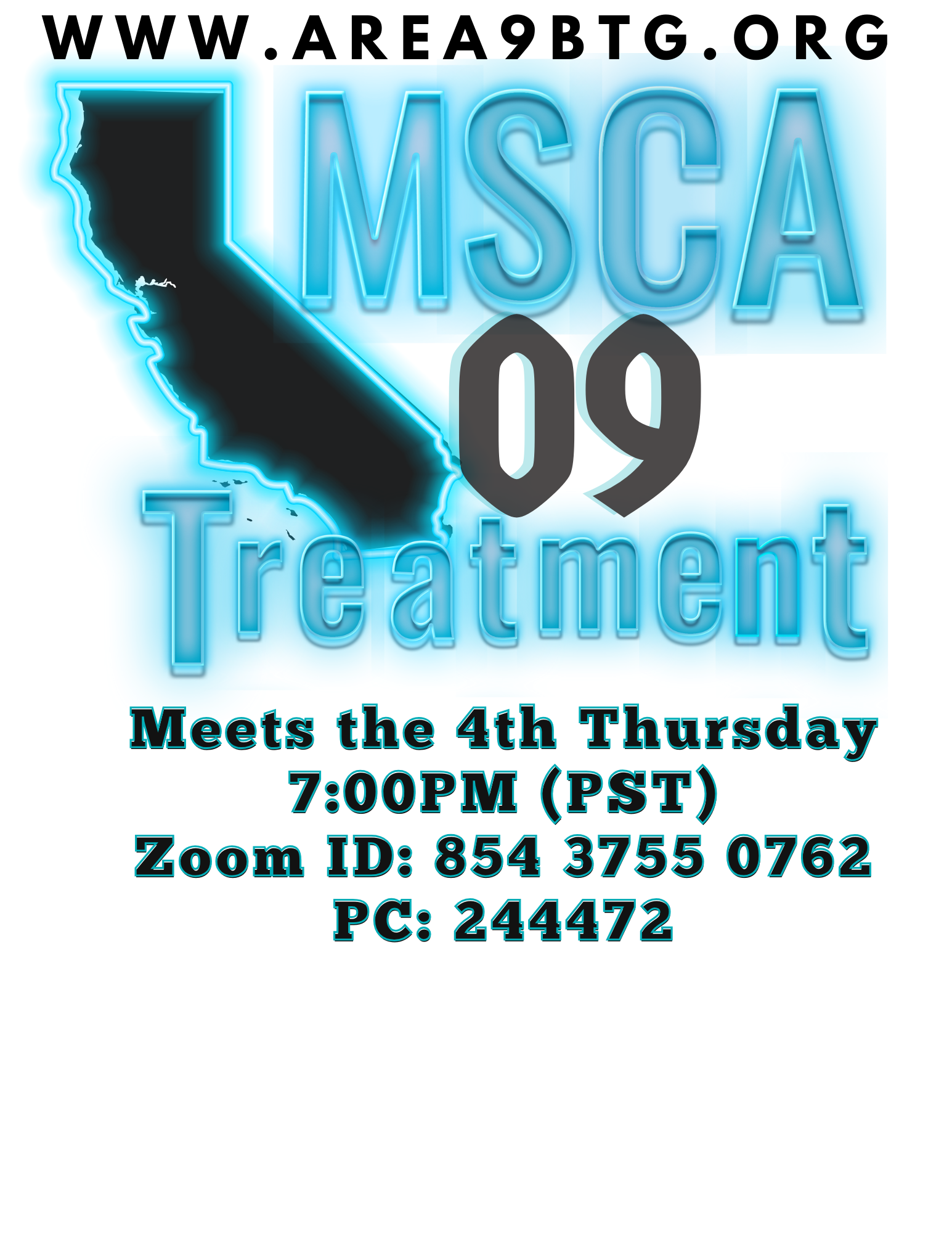 MSCA 09 BTG meeting flyer